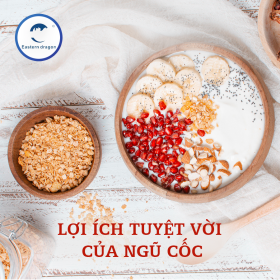 Ngũ Cốc Là Gì? Khám Phá Những Lợi Ích Tuyệt Vời Từ Thực Phẩm Này